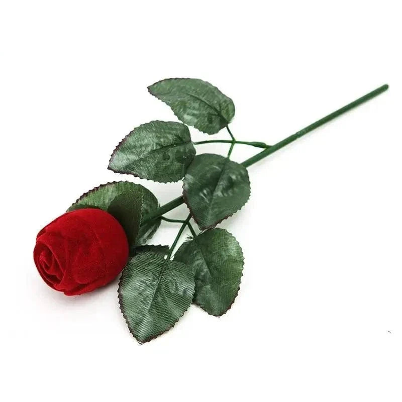 Rose - vue 1