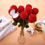 Rose - vue 4
